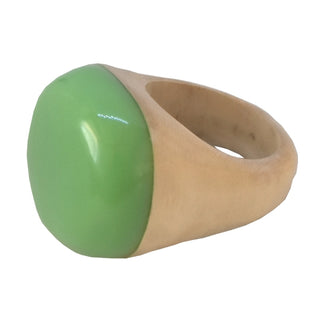 PALOMA GE | 10 colors